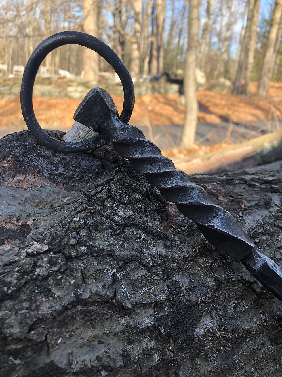 Thumbnail: Ring Handled Fire Poker