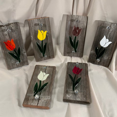 Tulips on Barnwood