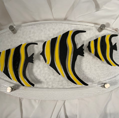 Angelfish