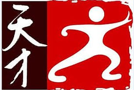 logo taichi.jpeg
