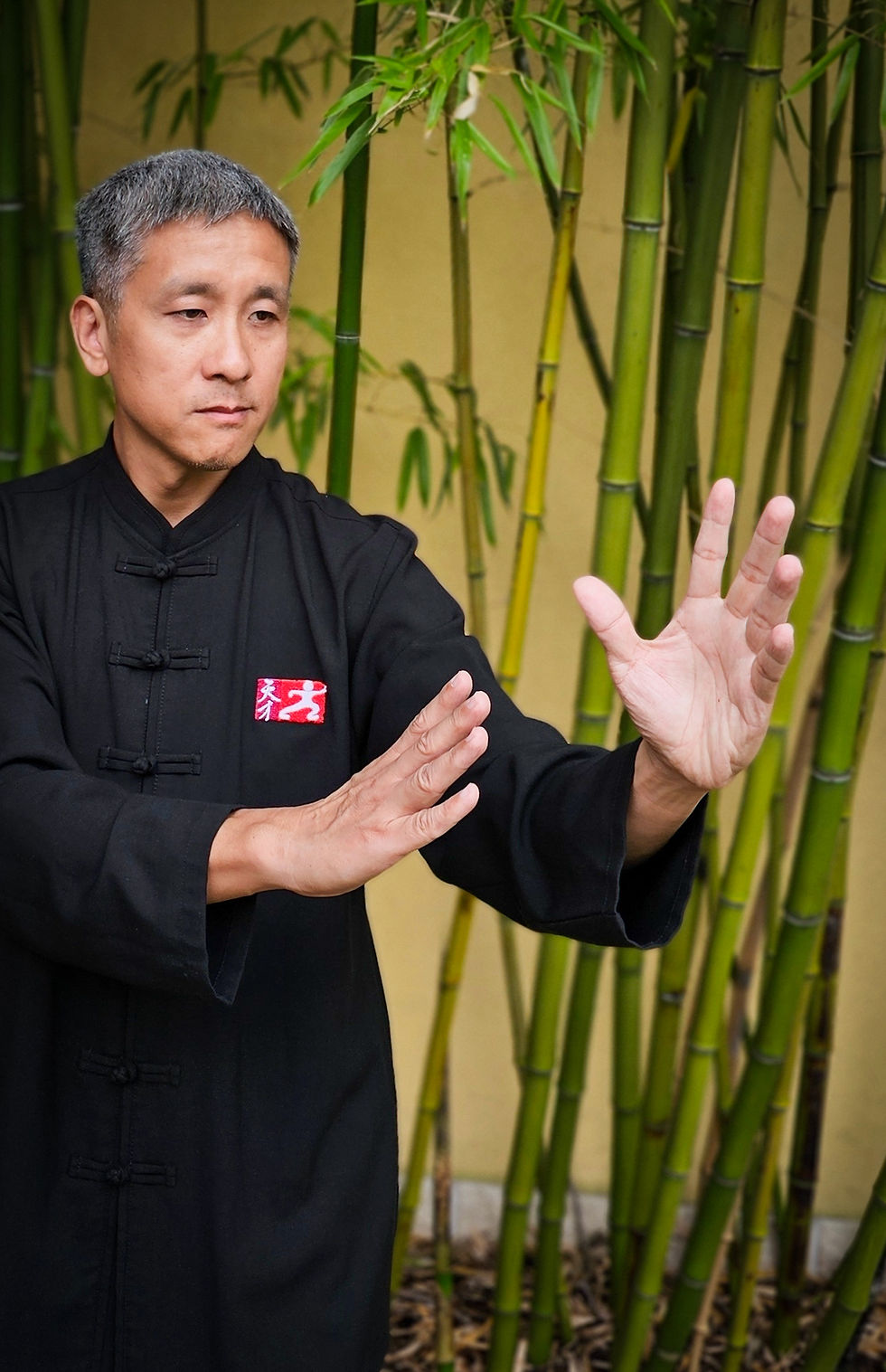 Master Zhu Xiangqian