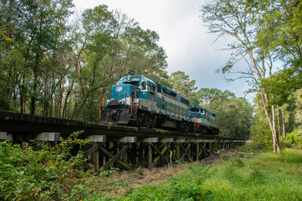 Aberdeen & Rockfish On An Old Wooden Trestle