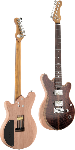 Electric guitar, front and back views