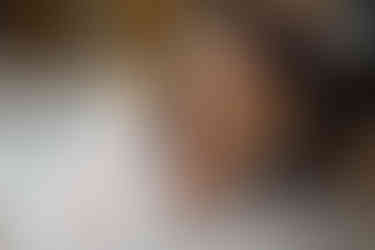 Invercargill wedding at the Abbey with bridal photos at Anderson's Park