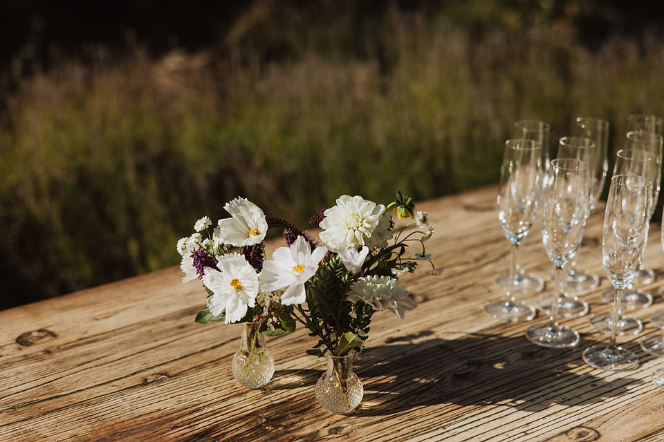 Clyde wedding at Oliver's garden and restaurant