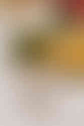 Invercargill wedding at the Abbey with bridal photos at Anderson's Park