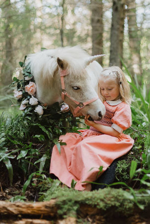 photos in the forest with a unicorn in Invercargill, New Zealand