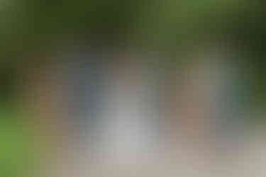 Invercargill wedding at the Abbey with bridal photos at Anderson's Park