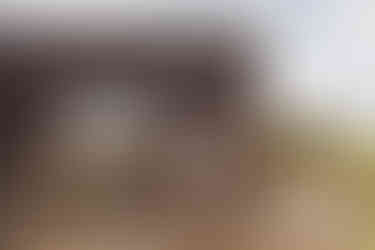 Catlins wedding at river ridge retreat