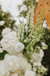 Backyard + Riverton Rocks wedding in Winton