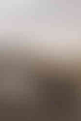 Motorbike Wedding in Invercargill