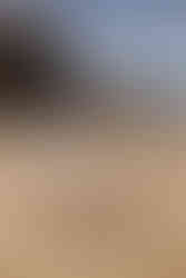 River Ridge Retreat wedding Catlins