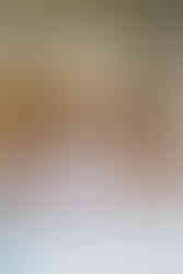 Invercargill wedding at the Abbey with bridal photos at Anderson's Park