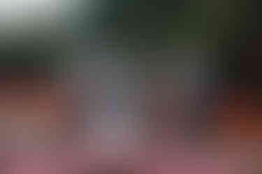 Invercargill wedding at the Abbey with bridal photos at Anderson's Park