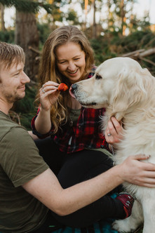 Invercargill photographer - Picnic in a pine forest with dog