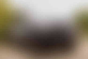 Invercargill wedding at the Abbey with bridal photos at Anderson's Park