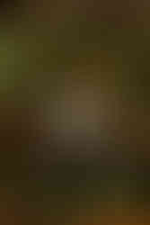 Wanaka wedding at The Venue