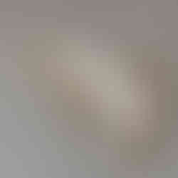 Invercargill wedding at the Abbey with bridal photos at Anderson's Park