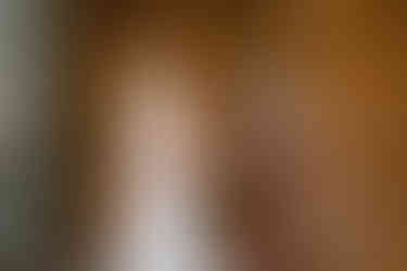 Invercargill wedding at the Abbey with bridal photos at Anderson's Park