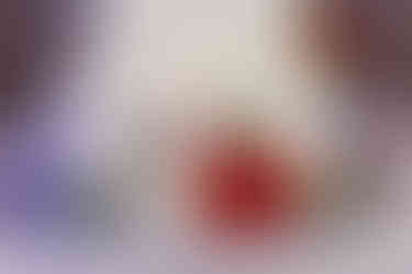 Invercargill wedding with bridal photos at Queens Park