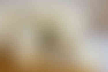 Wanaka wedding at The Venue