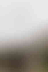 Invercargill wedding with bridal photos at Queens Park