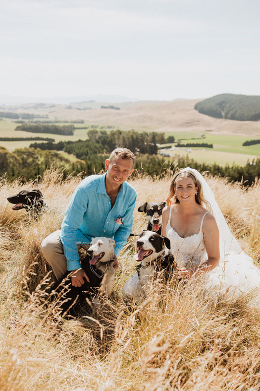 Bride and groom with their working dogs at the top of the farm