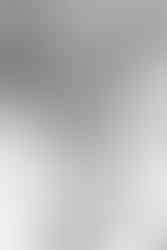 Invercargill wedding at the Abbey with bridal photos at Anderson's Park