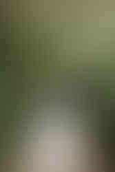 Invercargill wedding at the Abbey with bridal photos at Anderson's Park