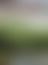 Otatara // Backyard + Sandy Point Wedding