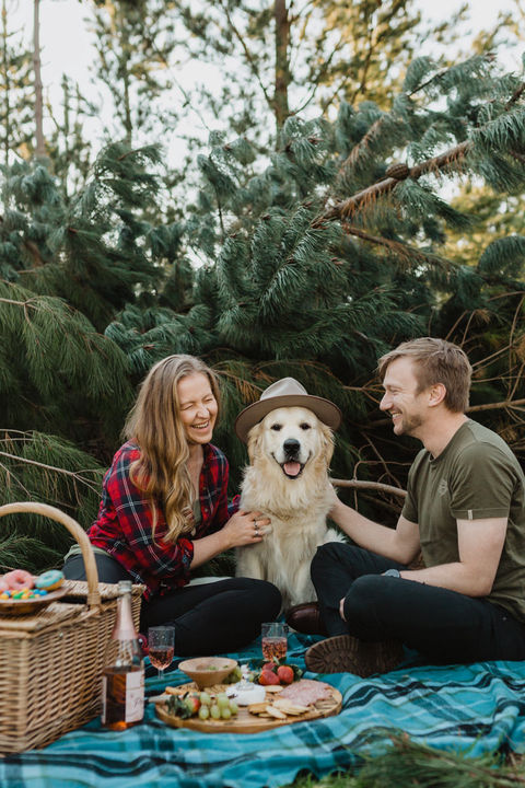 Couple sitting with golden retriever in the forest with a picnic