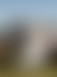 Kaka Point // Port Molyneux School Wedding