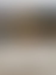 Wanaka // Helicopter elopement with sunset picnic