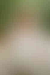 Invercargill wedding at the Abbey with bridal photos at Anderson's Park