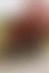 Wedding at The Lookout Lodge in Wanaka