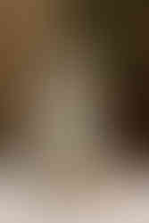 Invercargill wedding at the Abbey with bridal photos at Anderson's Park