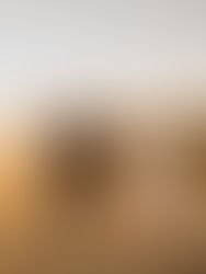 Riverton // Sunset Adventure Session