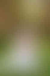 Summer wedding at the hideaway 201 in Winton