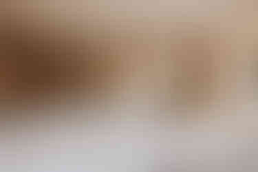 Wedding at The Lookout Lodge in Wanaka