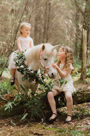 photos in the forest with a unicorn in Invercargill, New Zealand