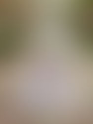 Winton // Elopement in the Blossom Lane at The Hideaway 201