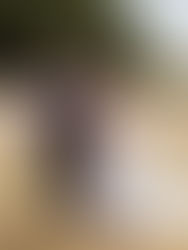 Invercargill // The Cabbage Tree Wedding in Otatara