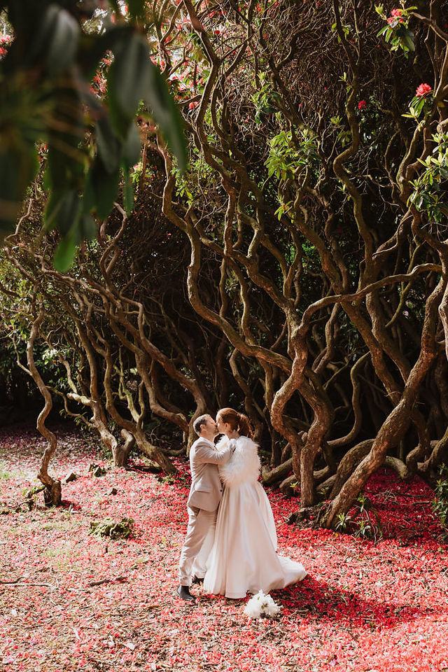 Invercargill wedding at The Abbey