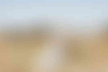 Te Anau farm and marquee wedding