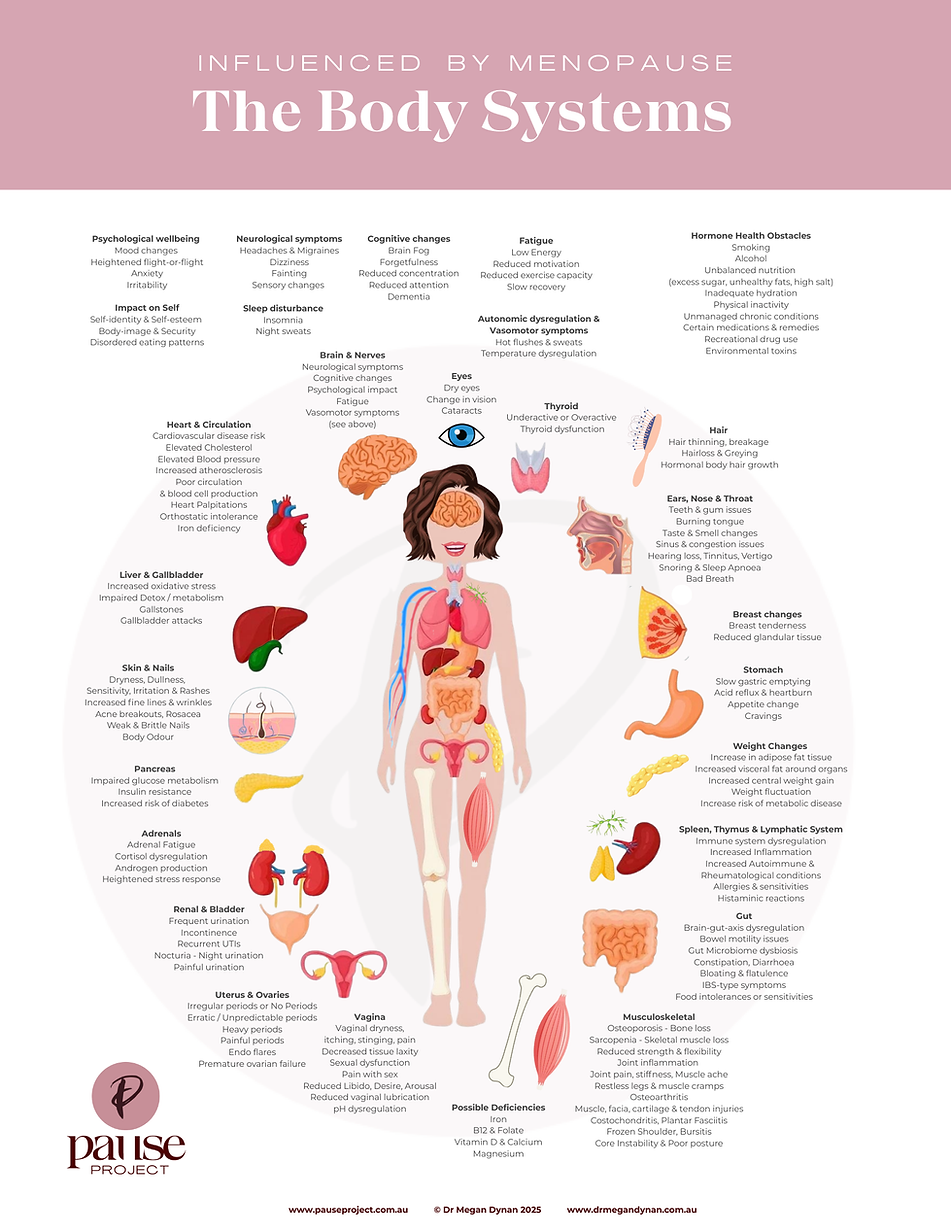 Pause Project Primary document.png