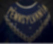 Pennsylvania Beaded and Sequin Collar