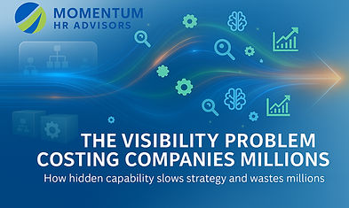 The Visibility Problem Cover Artv4_edite