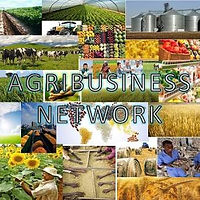 WhatsApp Image 2020-08-20 at 14.09.16 (1