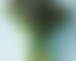 Super-taster, Taster or Non-taster?