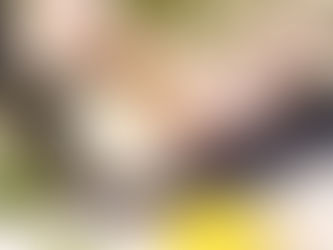 CHUCK IN THE CHICKEN